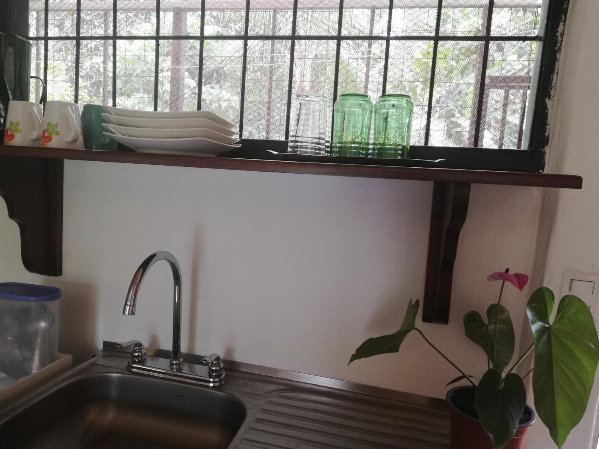 Paraiso Verde Siqurres Da Alegria 외부 사진