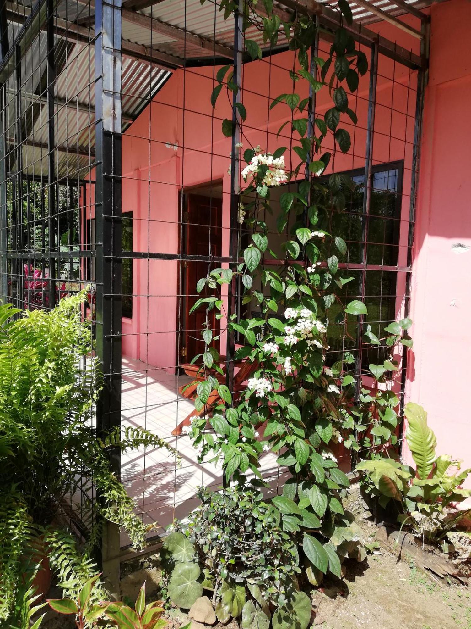 Paraiso Verde Siqurres Da Alegria 외부 사진