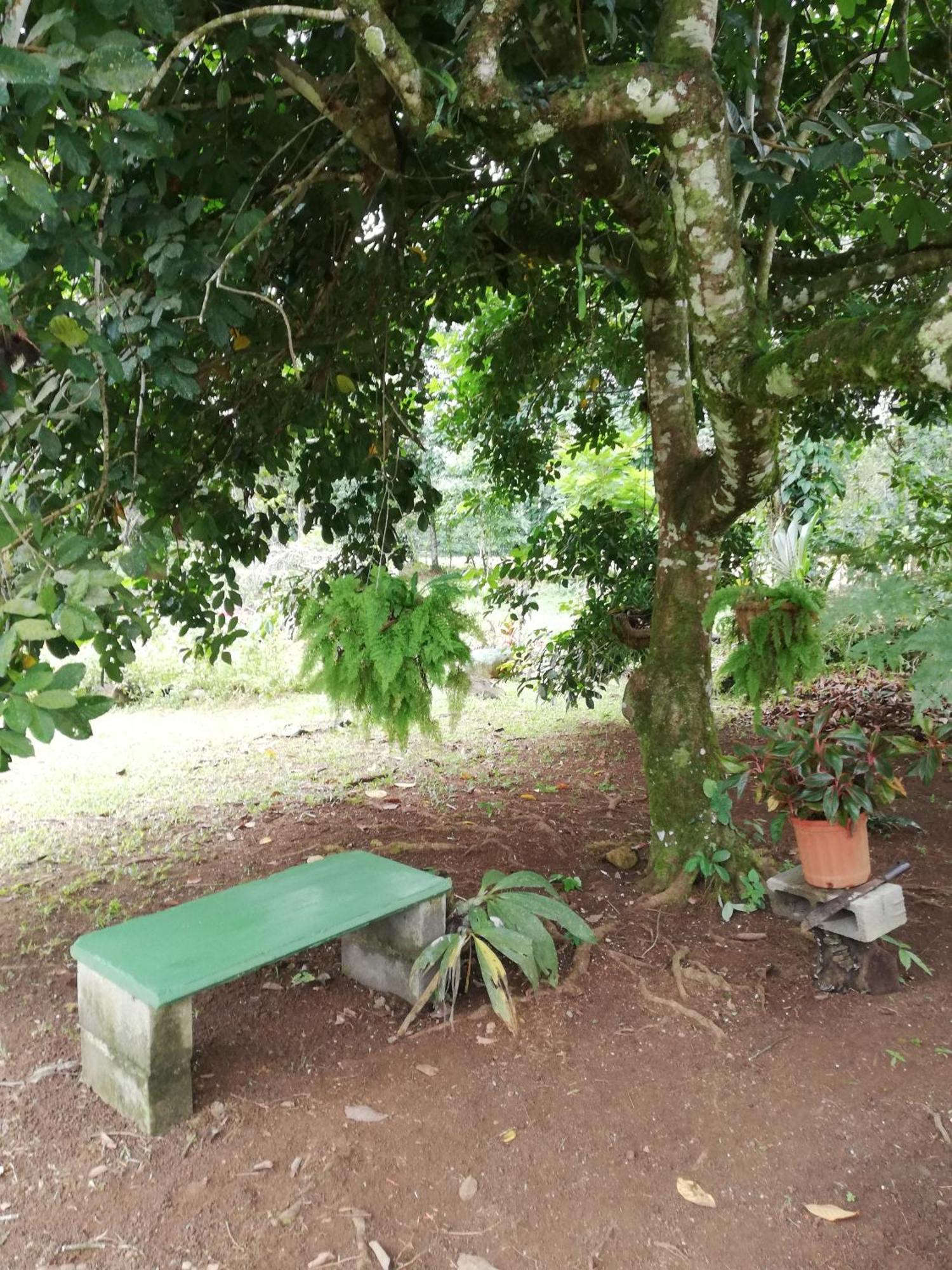 Paraiso Verde Siqurres Da Alegria 외부 사진