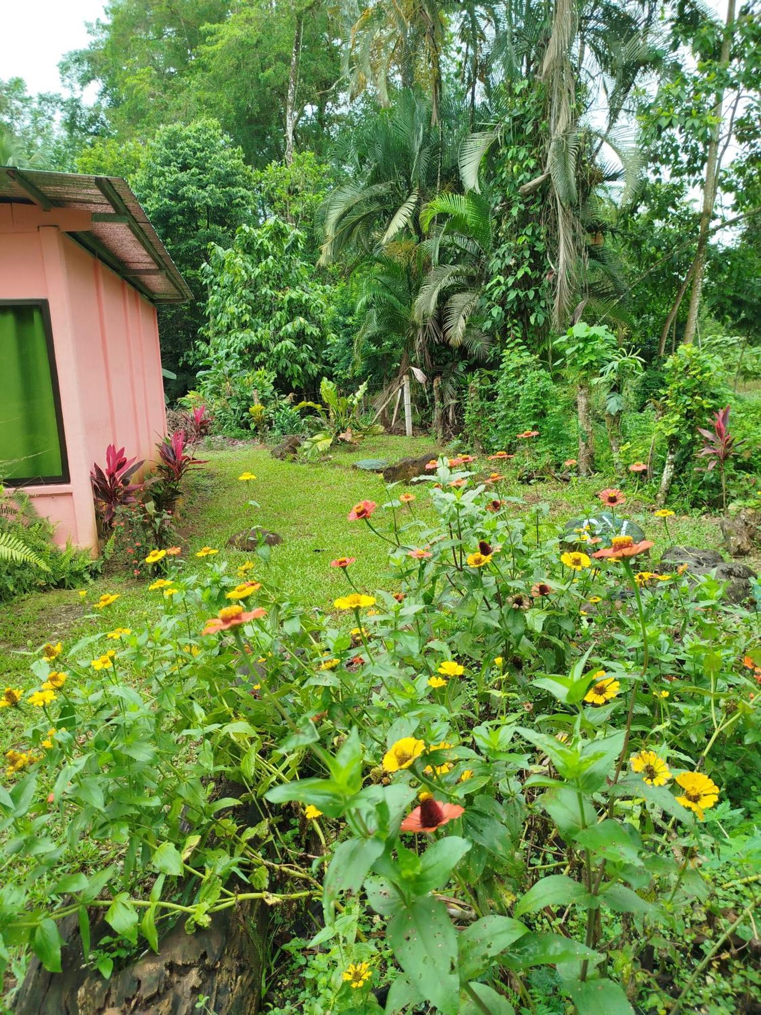 Paraiso Verde Siqurres Da Alegria 객실 사진